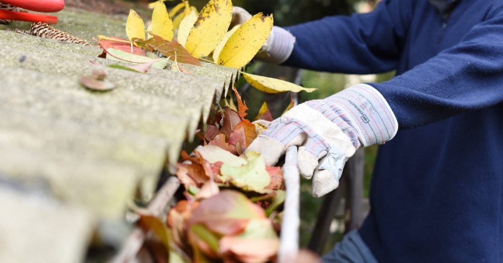 An individual wearing striped gloves removes leaves from a clogged roof gutter while standing on a ladder.